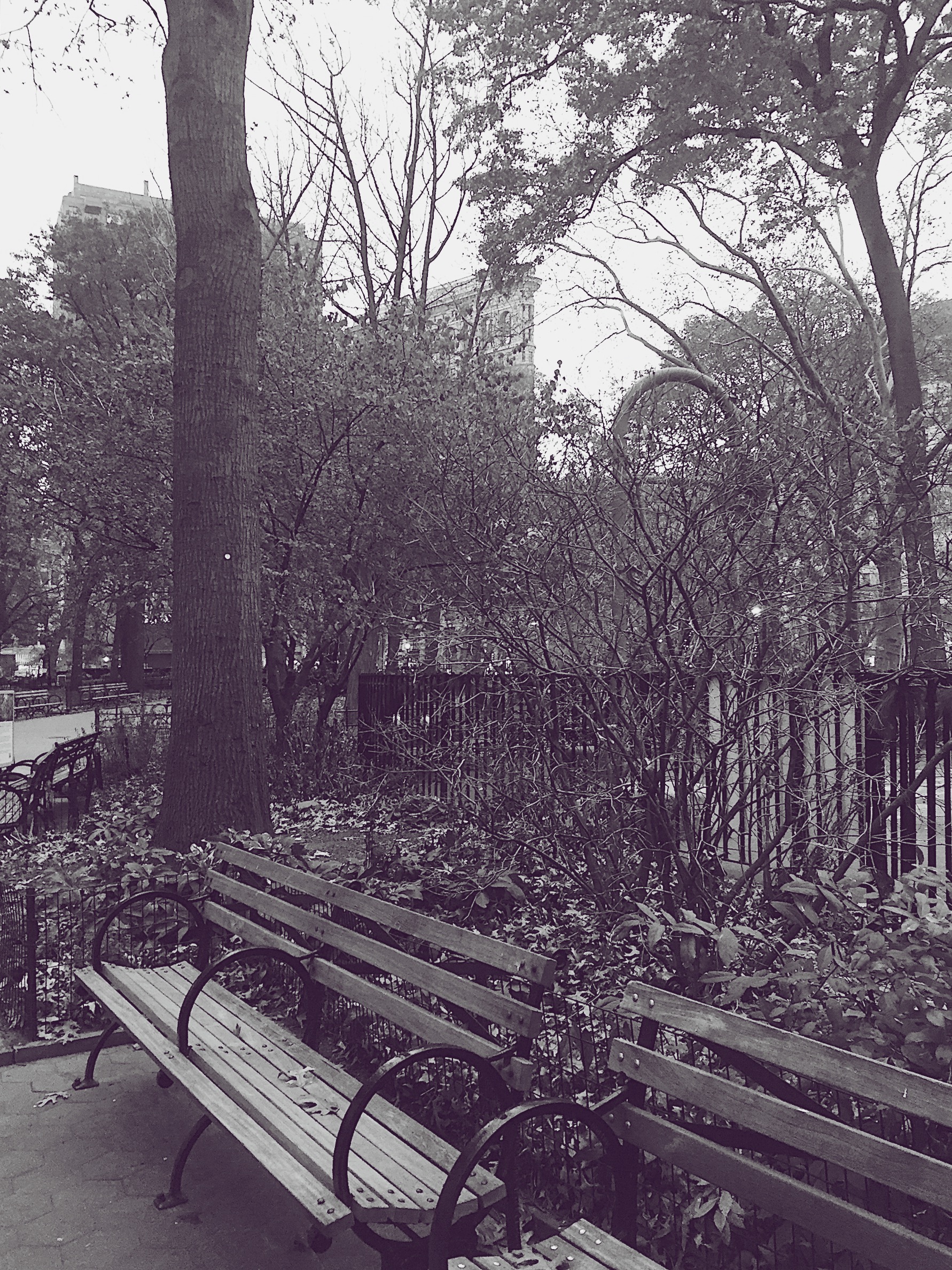 Processed with VSCO with b1 preset